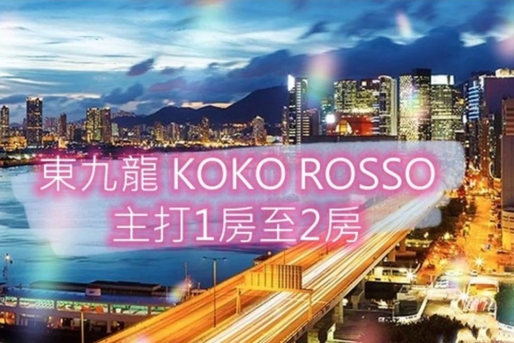 香港九龙新楼盘KOKO ROSSO小户型，总价低，付款灵活  第2张