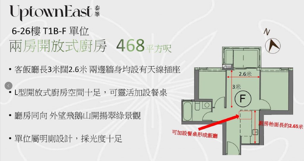 香港新楼盘泰峯（峰），首付最低仅需1成  第11张