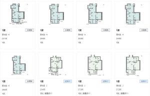 柏蔚森1期户型图  第1张