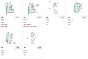 柏蔚森1期户型图  第3张